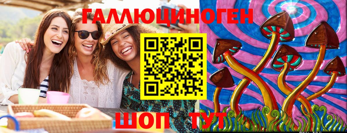 Псилоцибиновые грибы GOLDEN TEACHER  Вход с VPN  даркнет сайт  Краснознаменск 
